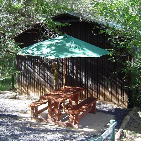 Forest Creek Lodge & Spa Dullstroom Dış mekan fotoğraf