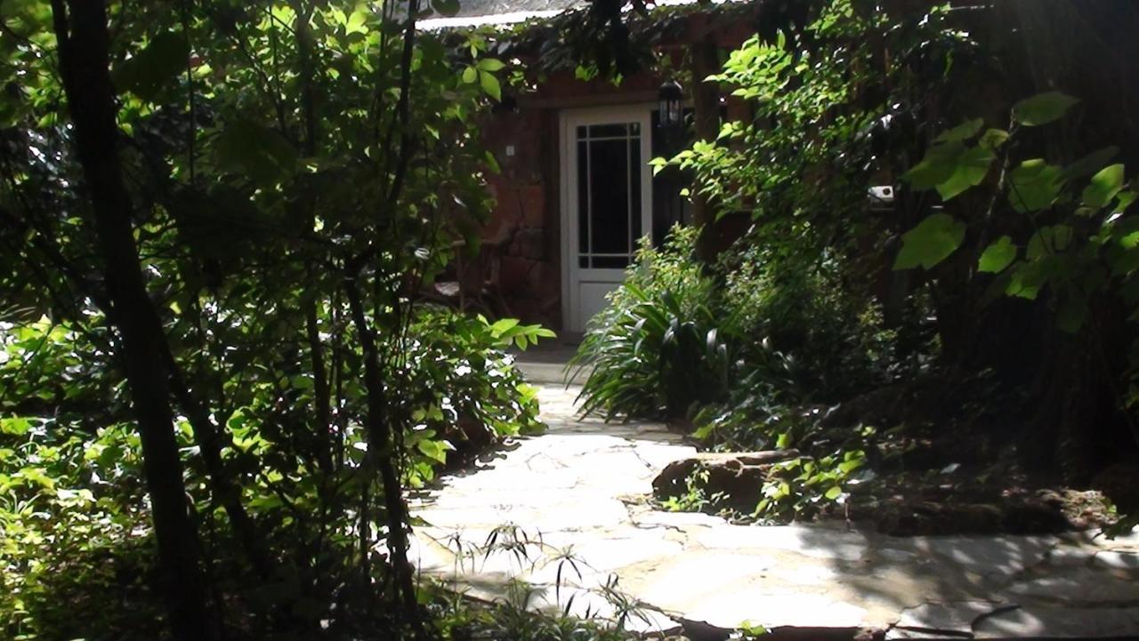 Forest Creek Lodge & Spa Dullstroom Oda fotoğraf