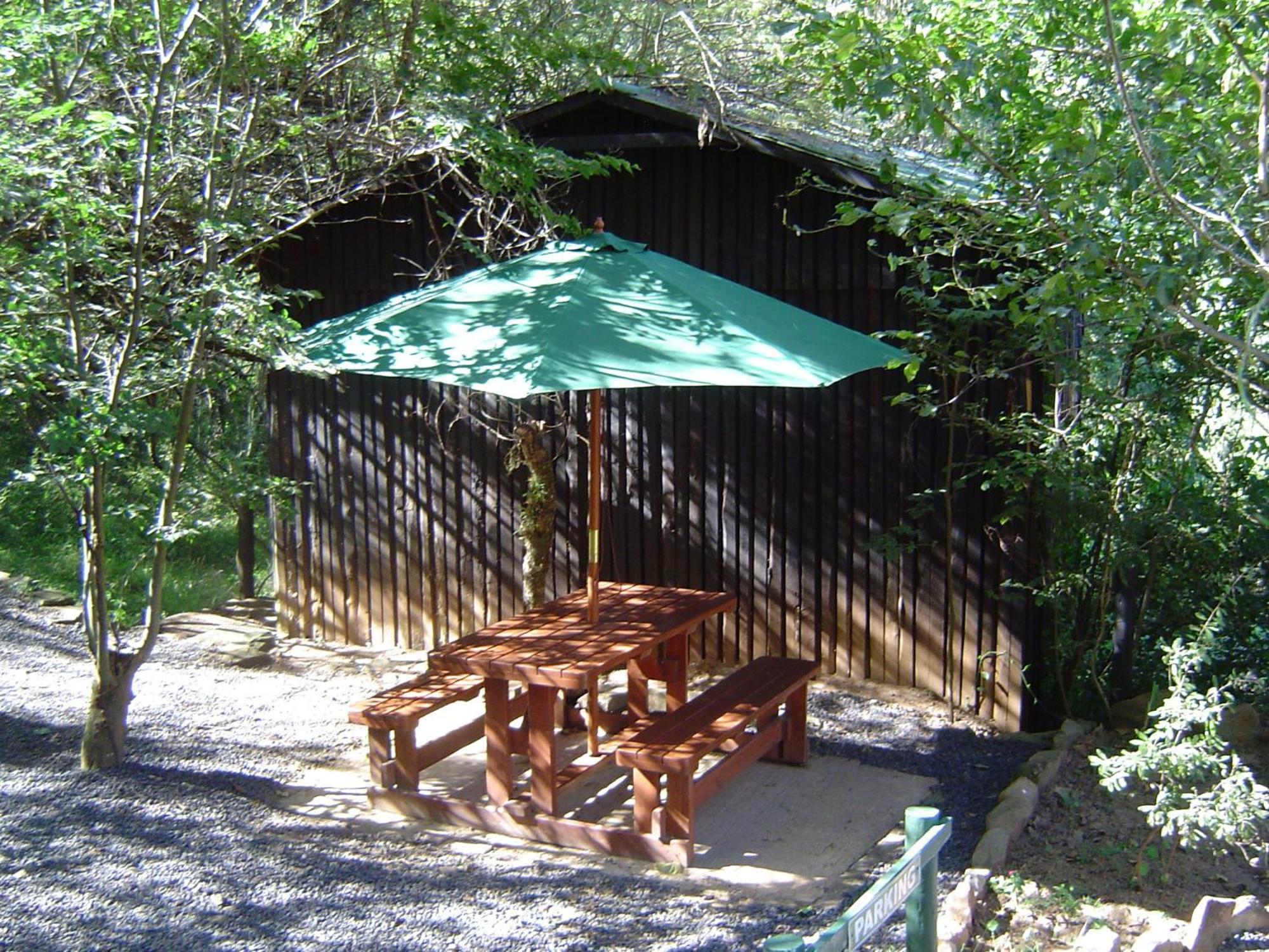 Forest Creek Lodge & Spa Dullstroom Dış mekan fotoğraf