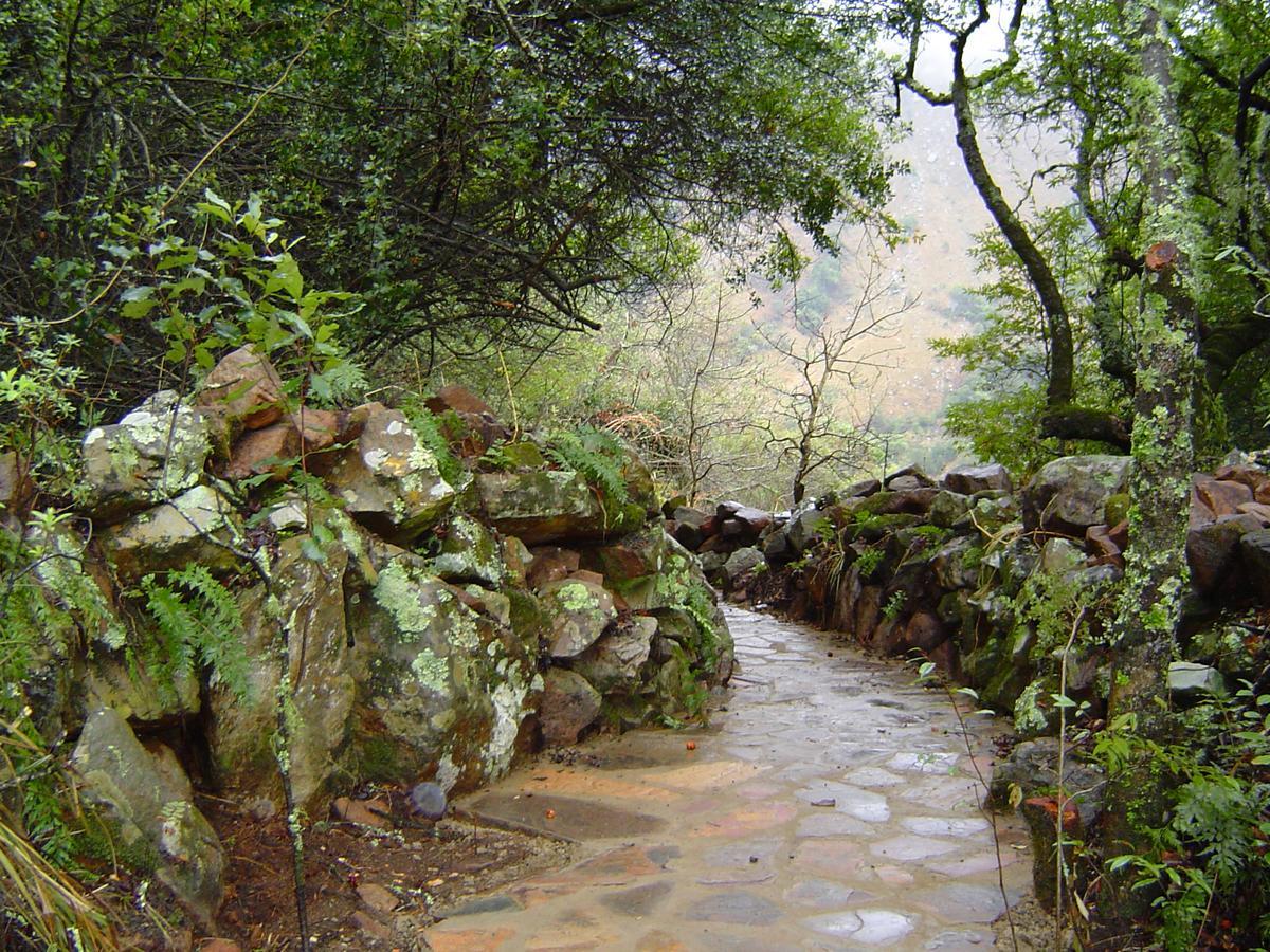 Forest Creek Lodge & Spa Dullstroom Dış mekan fotoğraf