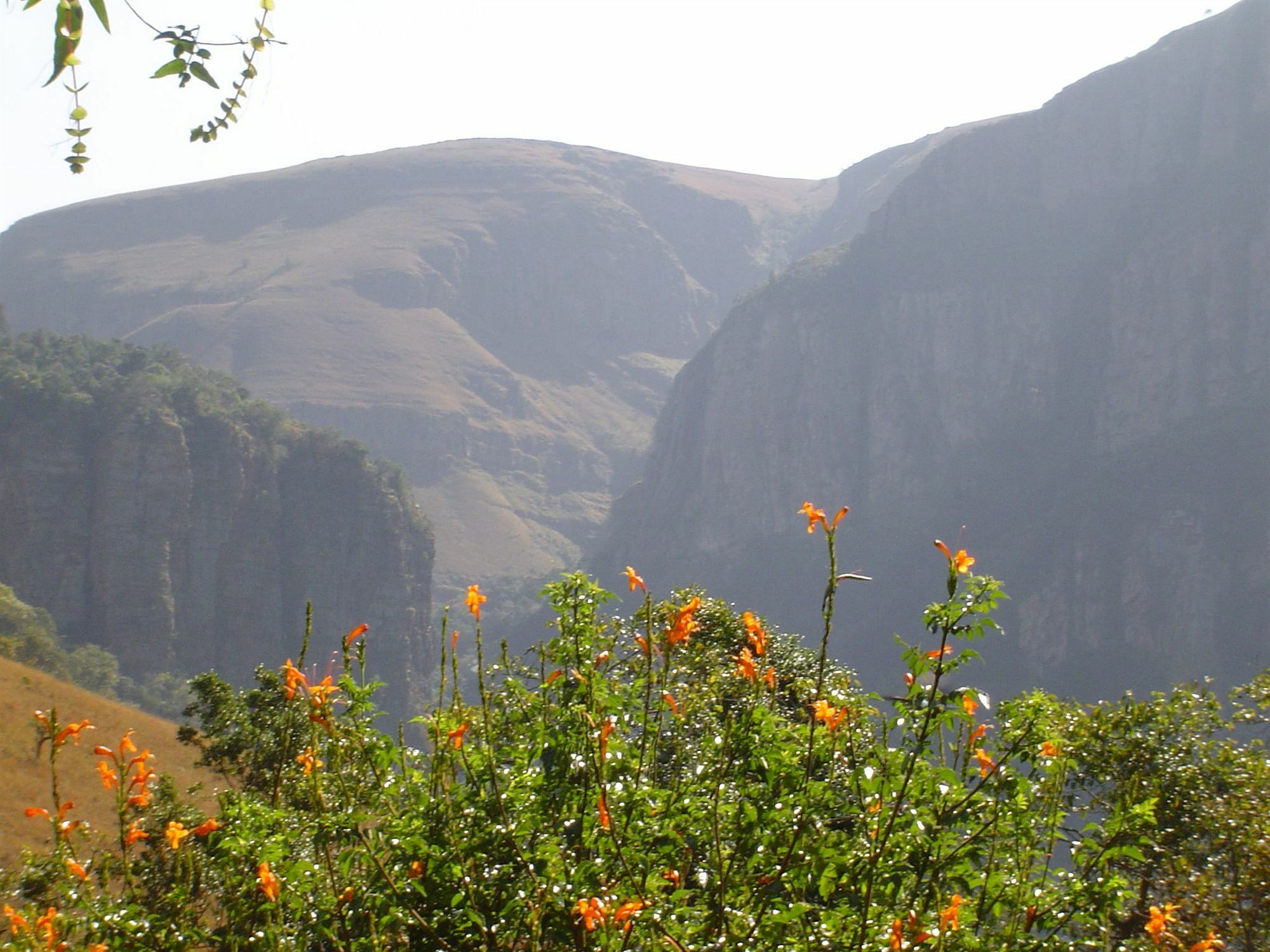 Forest Creek Lodge & Spa Dullstroom Dış mekan fotoğraf